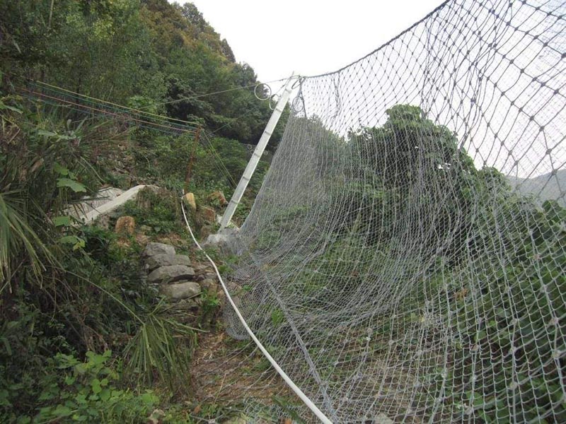 RX-050����(d��ng)���o(h��)�W(w��ng)