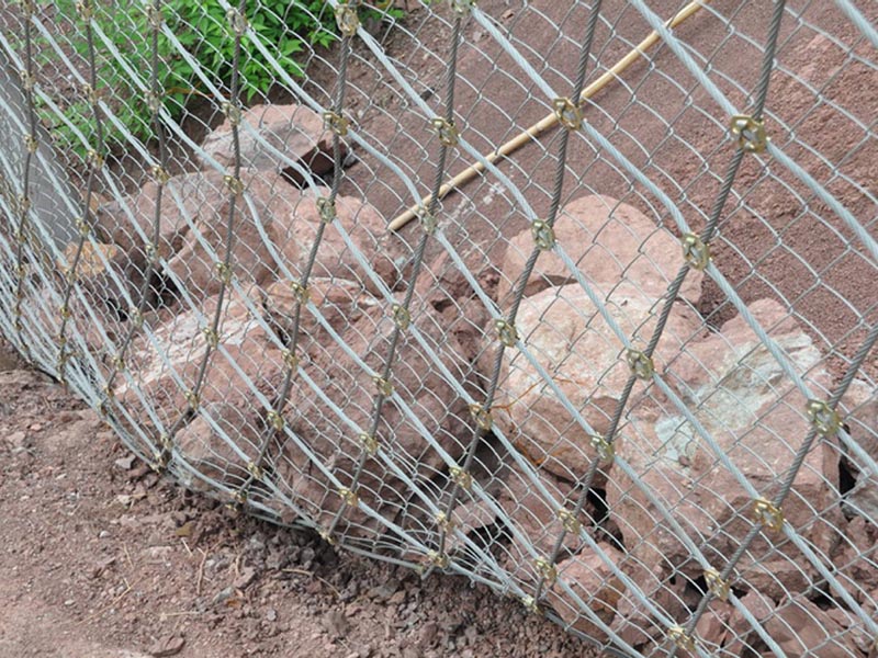 RXI-100�ͱ���(d��ng)���o(h��)�W(w��ng) (4).jpg