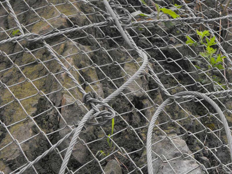 GAR1�����ӷ��o�W���a�S��