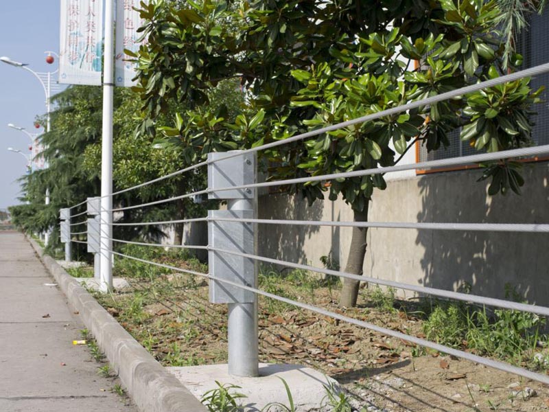 �����|���o�����a�S��