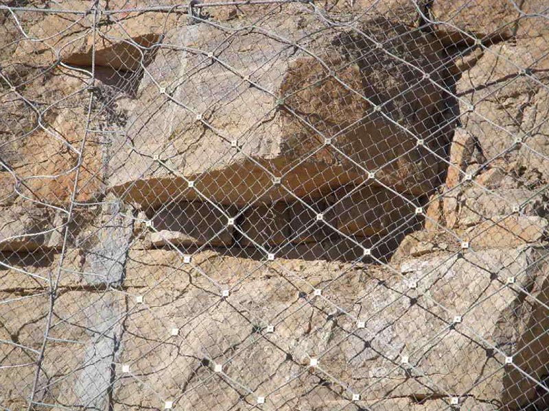 ���Է��o�W�S��