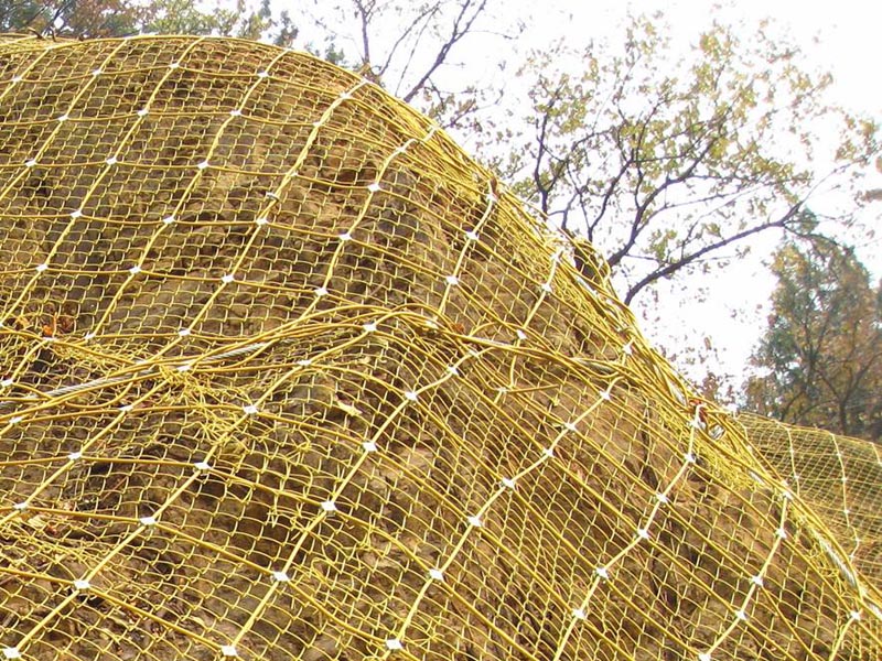 GNS2��������(d��ng)���o(h��)�W(w��ng)